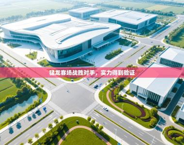 猛龙客场战胜对手，实力得到验证