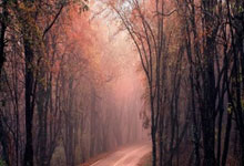 曼联老将离队或开启新生涯，球迷感慨英雄谢幕