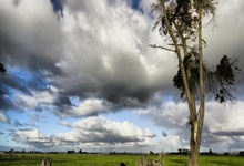 皇家马德里发挥欠佳遭斯特拉斯堡逆袭，欧冠登顶梦破碎