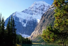 看尽辛酸泪，曼联告别欧冠梦