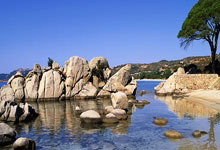 看尽辛酸泪，曼联告别欧冠梦