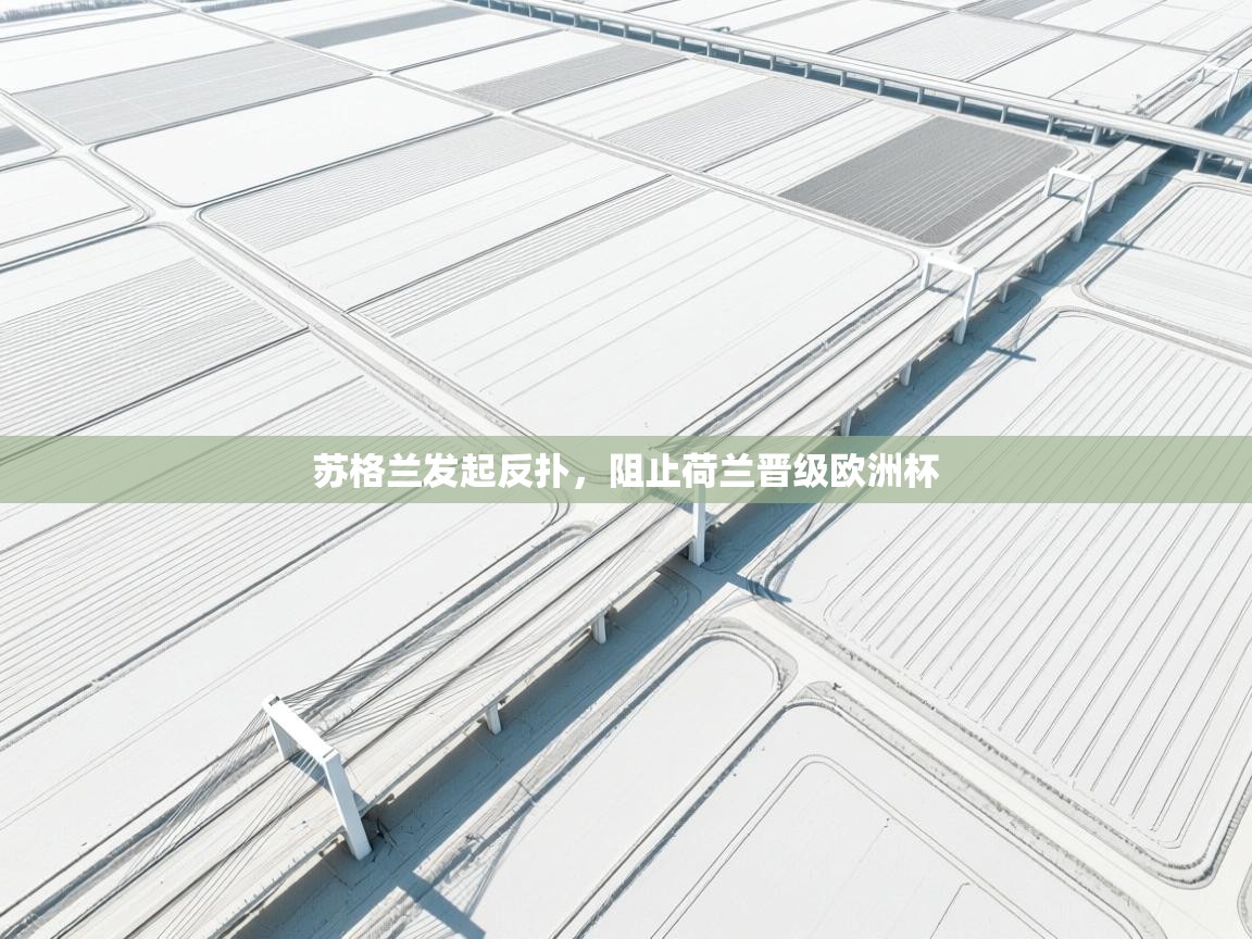 苏格兰发起反扑,阻止荷兰晋级欧洲杯 第1张