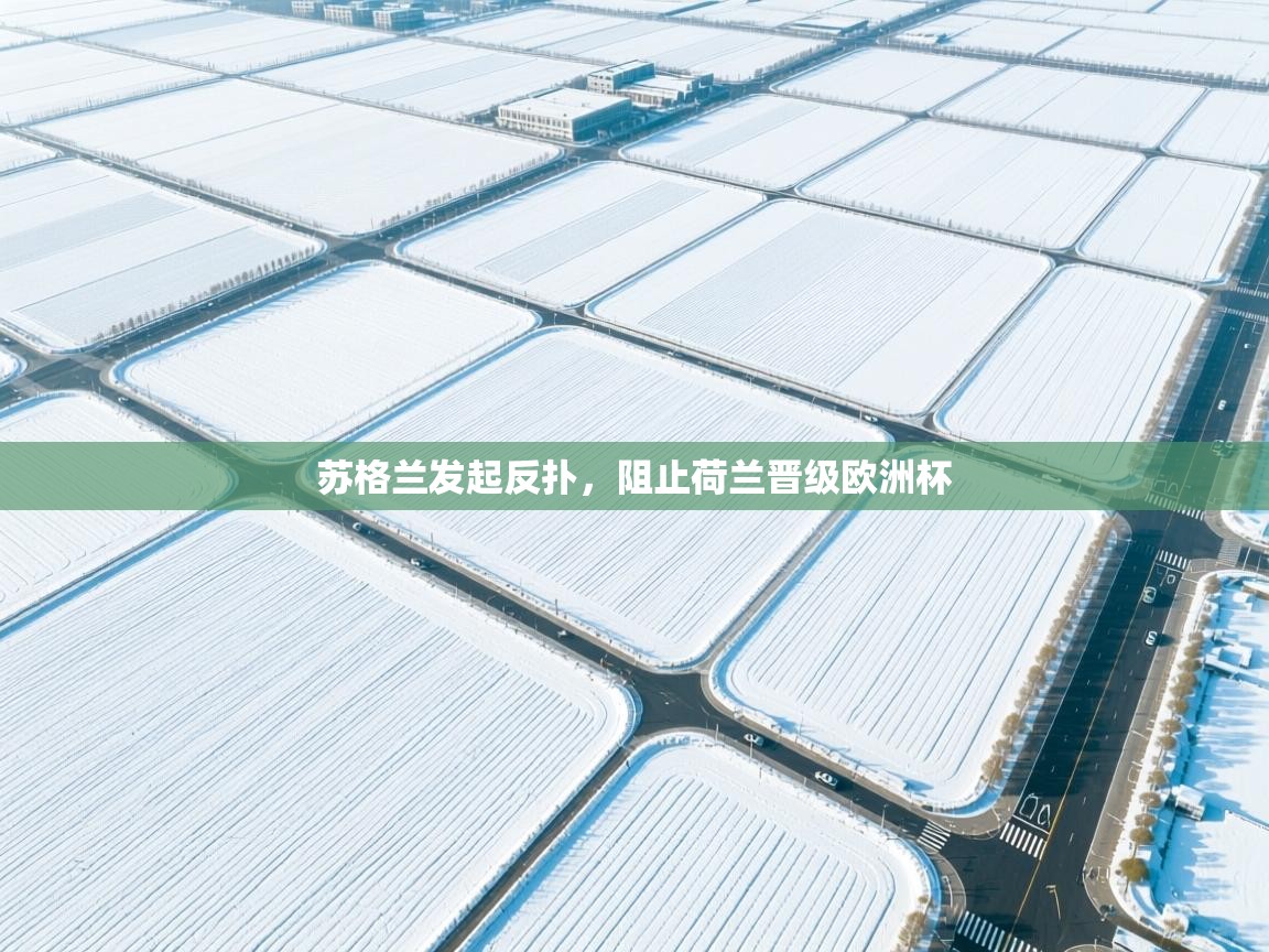 苏格兰发起反扑，阻止荷兰晋级欧洲杯  第2张